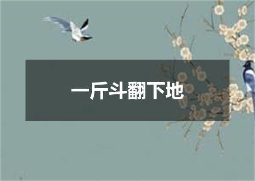 一斤斗翻下地