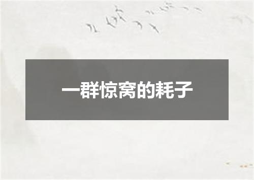 一群惊窝的耗子