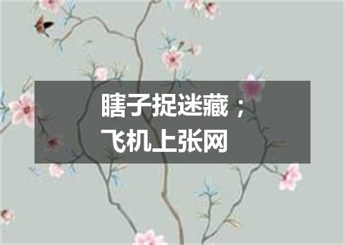 瞎子捉迷藏；飞机上张网