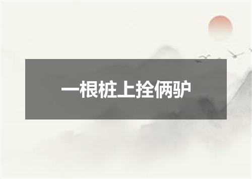 一根桩上拴俩驴