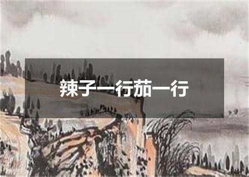 辣子一行茄一行