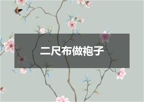 二尺布做袍子