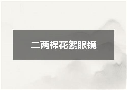 二两棉花絮眼镜