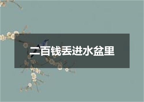 二百钱丢进水盆里