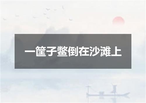 一筐子鳖倒在沙滩上