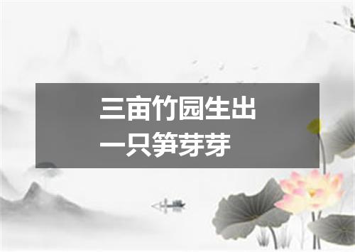 三亩竹园生出一只笋芽芽