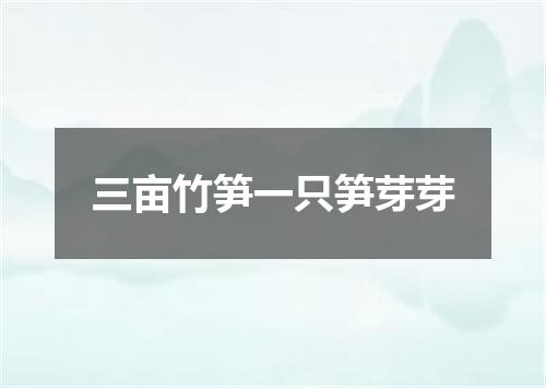 三亩竹笋一只笋芽芽