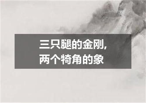 三只腿的金刚,两个犄角的象