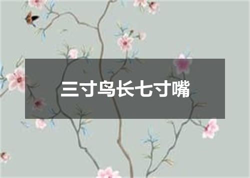 三寸鸟长七寸嘴