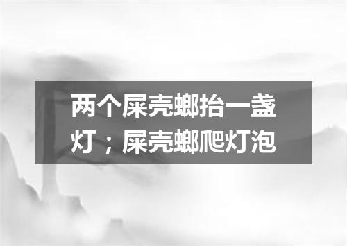 两个屎壳螂抬一盏灯；屎壳螂爬灯泡