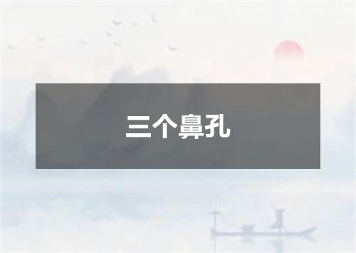 三个鼻孔