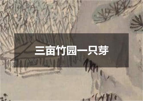 三亩竹园一只芽
