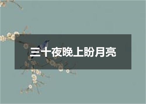 三十夜晚上盼月亮