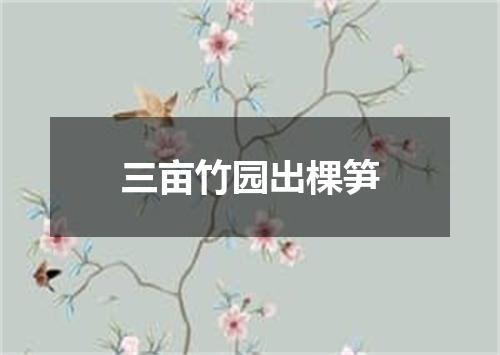 三亩竹园出棵笋
