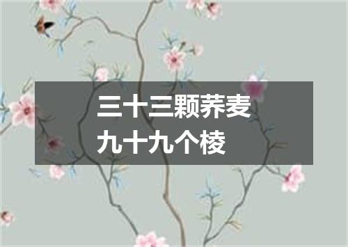 三十三颗荞麦九十九个棱