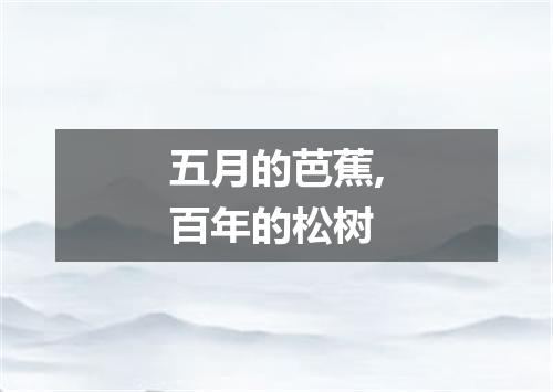 五月的芭蕉,百年的松树