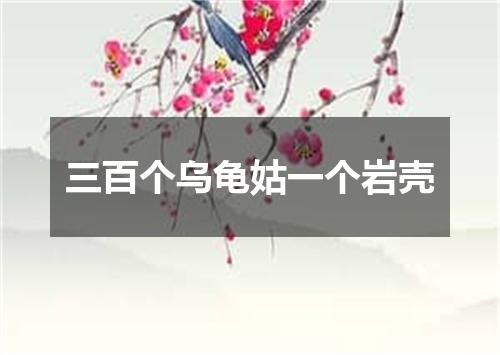 三百个乌龟姑一个岩壳