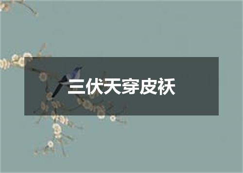 三伏天穿皮袄