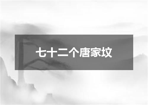 七十二个唐家坟
