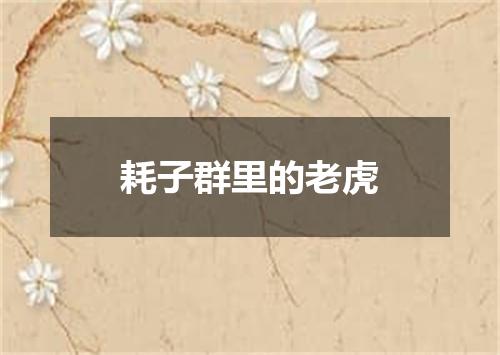 耗子群里的老虎