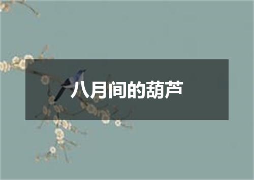 八月间的葫芦