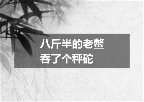 八斤半的老鳖吞了个秤砣