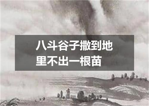 八斗谷子撒到地里不出一根苗
