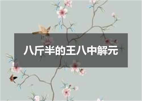 八斤半的王八中解元