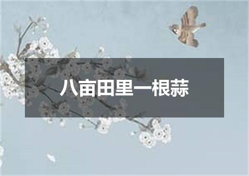 八亩田里一根蒜