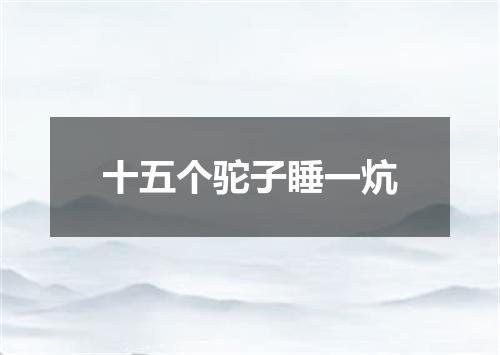 十五个驼子睡一炕