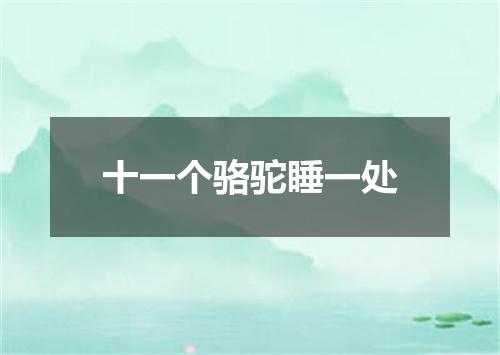 十一个骆驼睡一处