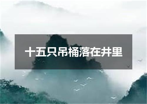 十五只吊桶落在井里