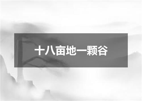 十八亩地一颗谷