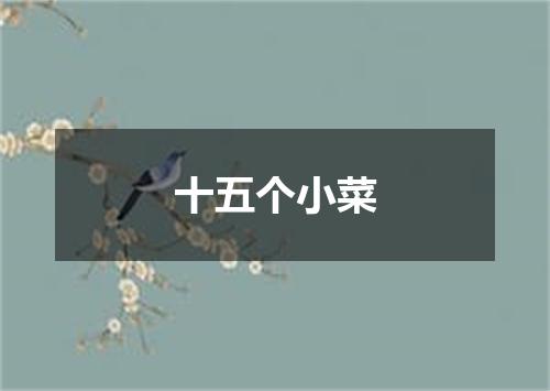 十五个小菜