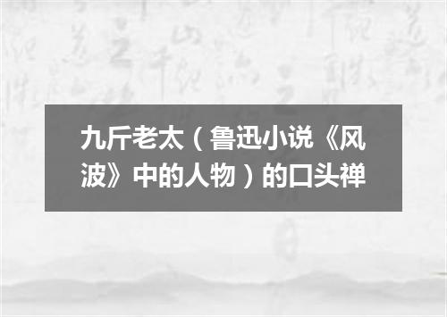 九斤老太（鲁迅小说《风波》中的人物）的口头禅