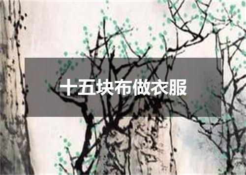 十五块布做衣服