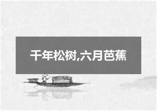 千年松树,六月芭蕉