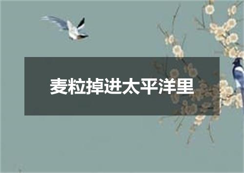 麦粒掉进太平洋里