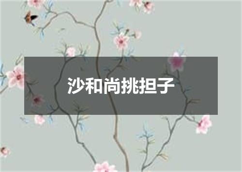 沙和尚挑担子