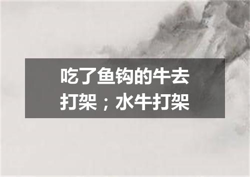 吃了鱼钩的牛去打架；水牛打架