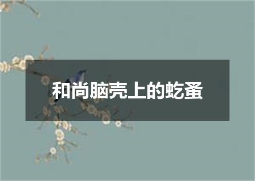 和尚脑壳上的虼蚤