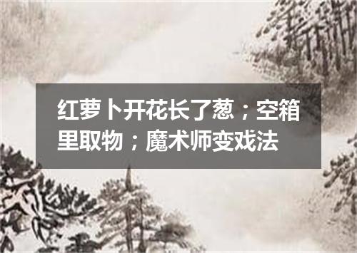 红萝卜开花长了葱；空箱里取物；魔术师变戏法