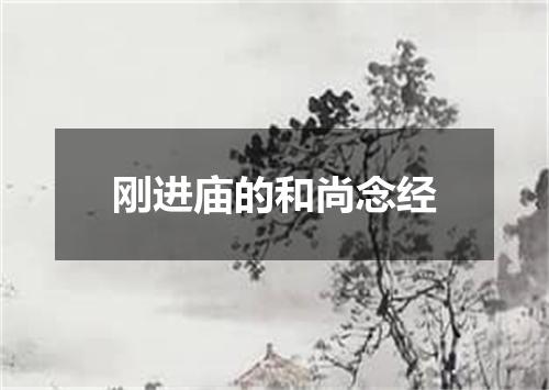 刚进庙的和尚念经