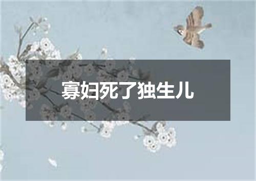 寡妇死了独生儿