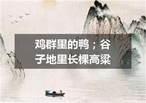 鸡群里的鸭；谷子地里长棵高粱