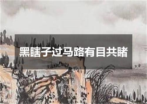 黑瞎子过马路有目共睹