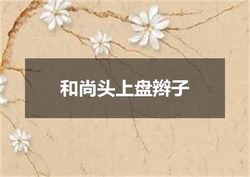 和尚头上盘辫子
