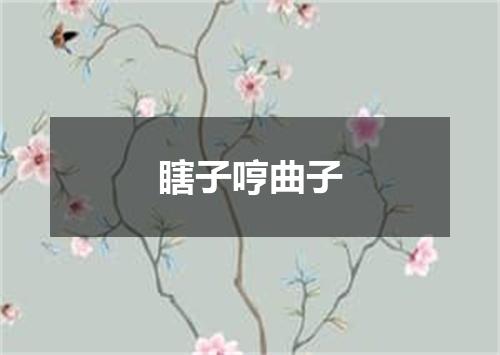 瞎子哼曲子