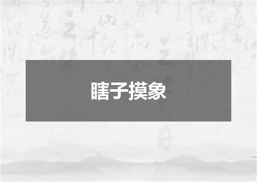 瞎子摸象