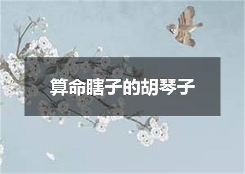 算命瞎子的胡琴子